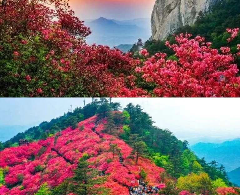 黄冈旅游 1