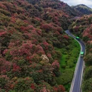毕节旅游 缩略图 10