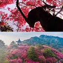 黄冈旅游 缩略图 2