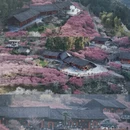 湘西旅游 缩略图 1