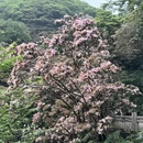 深圳旅游 缩略图 14