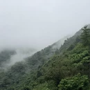 深圳旅游 缩略图 16