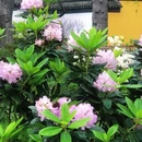 苏州旅游 缩略图 10