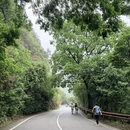 深圳旅游 缩略图 15