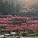 湘西旅游 缩略图 2