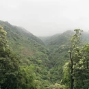 深圳旅游 缩略图 17