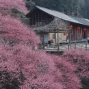 湘西旅游 缩略图 4