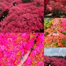 毕节旅游 缩略图 2