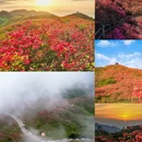 毕节旅游 缩略图 4