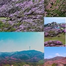 毕节旅游 缩略图 3