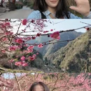 湘西旅游 缩略图 7