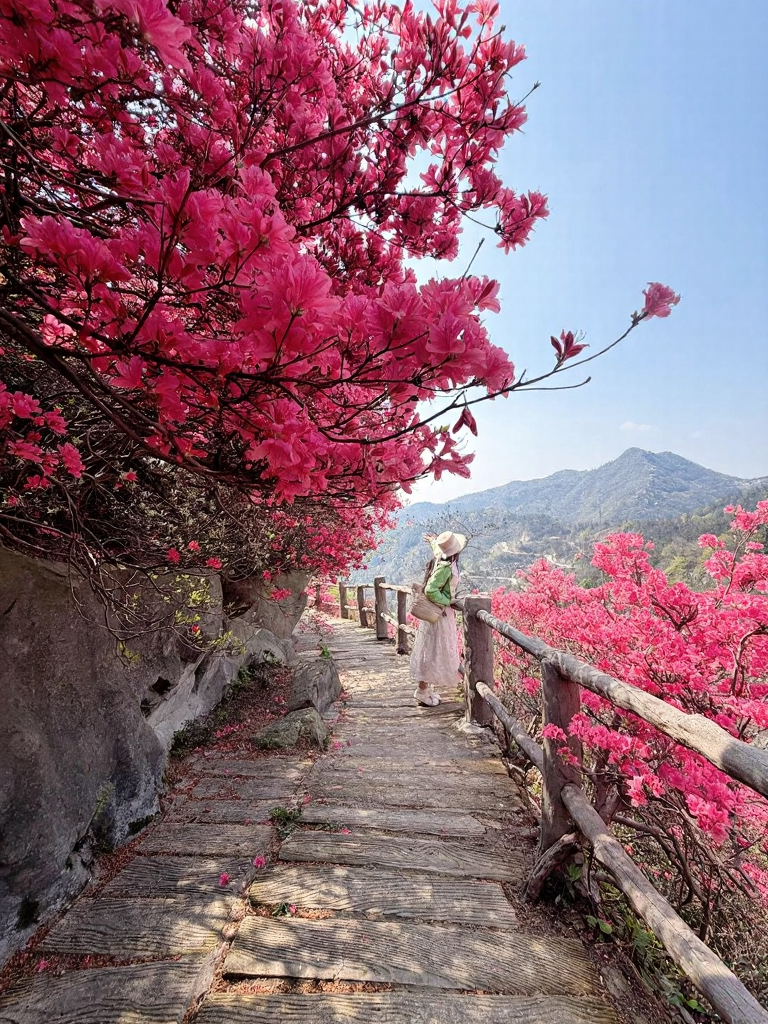 武汉旅游