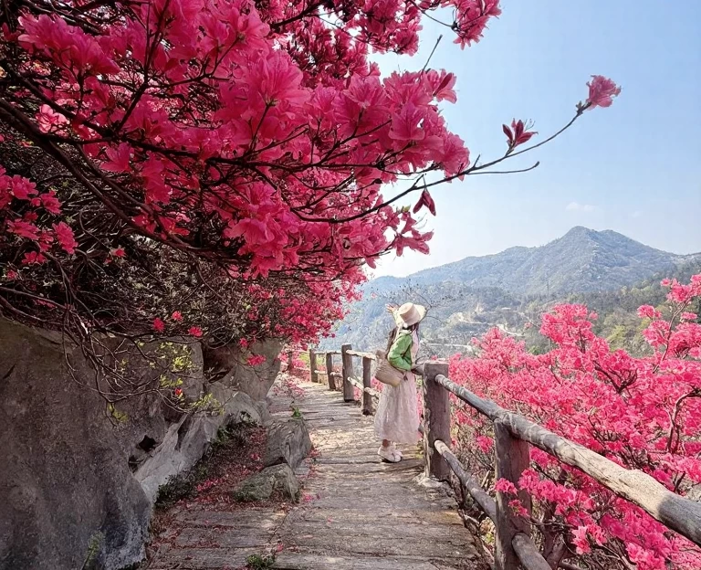 武汉旅游 1
