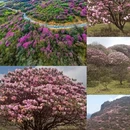 毕节旅游 缩略图 5