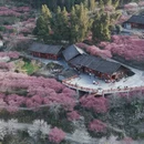 湘西旅游 缩略图 6