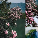 毕节旅游 缩略图 6