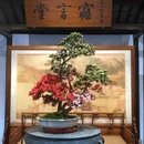 苏州旅游 缩略图 17
