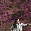 青岛旅游 缩略图 7