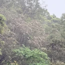 深圳旅游 缩略图 4