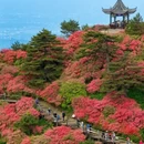 黄冈旅游 缩略图 4