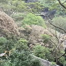 深圳旅游 缩略图 6