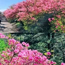 黄冈旅游 缩略图 3