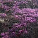 青岛旅游 缩略图 10