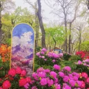 苏州旅游 缩略图 1