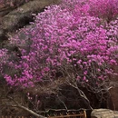 青岛旅游 缩略图 11