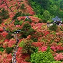 黄冈旅游 缩略图 6