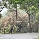 深圳旅游 缩略图 11