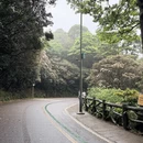 深圳旅游 缩略图 8