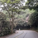 深圳旅游 缩略图 10