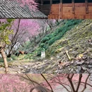 湘西旅游 缩略图 10