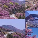 毕节旅游 缩略图 8