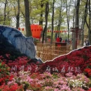 苏州旅游 缩略图 4