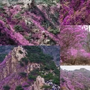 毕节旅游 缩略图 9