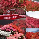 毕节旅游 缩略图 7