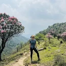 湘西旅游 缩略图 8
