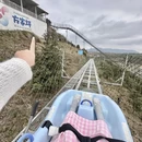 毕节旅游 缩略图 4
