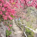 武汉旅游 缩略图 13