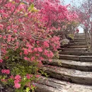 武汉旅游 缩略图 4