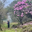 湘西旅游 缩略图 1