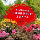 苏州旅游 缩略图 5