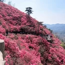 武汉旅游 缩略图 8