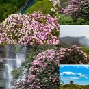 毕节旅游 缩略图 10