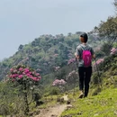 湘西旅游 缩略图 7
