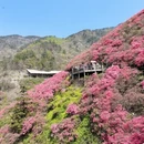 武汉旅游 缩略图 9
