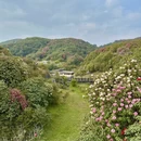 毕节旅游 缩略图 2