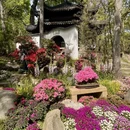 苏州旅游 缩略图 6